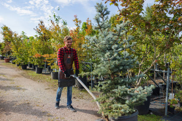 Best Tree Planting Services  in Essex, IL